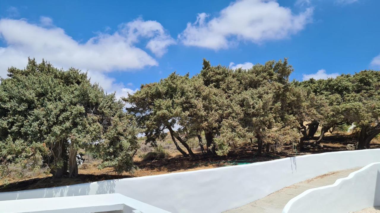 Seanfinity Beachfront Suites Mikri Vigla Dış mekan fotoğraf